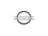STONE JF-36637 Oil Seals