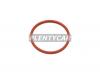 STONE JF36648 Кольцо уплотнительное заглушки ГБЦ MMC DELICA 94-02 4G63/4G64/4G93/4M41