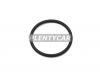 STONE JF56573 Прокладка муфты распредвала AVCS (VVTI) SUBARU FORESTER/IMPREZA/LEGACY 98-