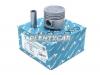 TEIKIN 442670.50 Поршни без колец Nissan TD27 d96.0+0.50 (12010-10T02) TEIKIN (на 4 цил)