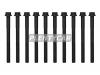 REINZ 141166401 14-11664-01_к-т болтов ГБЦ!\ Toyota Land Cruiser 4.5 1vd ftv