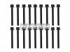 REINZ 141269701 Комплект болтов ГБЦ NISSAN  YD25 (18 штук)