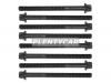 REINZ 143213904 14-32139-04_комплект болтов ГБЦ! 10шт.\ Citroen Saxo/C3/Xsara, Peugeot 206/307 1.6 97&gt;