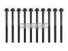 REINZ 14-32169-01 Комплект болтов головки цилидра