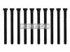 REINZ 14-32299-01 Комплект болтов головки цилидра