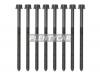 REINZ 14-32382-01 Комплект болтов головки цилидра
