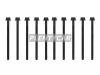 REINZ 14-32385-01 Комплект болтов головки цилидра