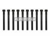 REINZ 145503001 14-55030-01_к-кт болтов ГБЦ! 10шт.\ Toyota 4Runner/Previa/Forturner 2.4/2.7 04&gt;