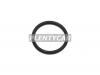 REINZ 40-76041-20 Уплотнительное кольцо, резьбовая пр