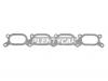 REINZ 703198600 70-31986-00 Прокладка впуск коллект VAG 1.8 20V