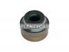 REINZ 70-53991-00 Уплотнительное кольцо, стержень кла