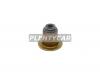 REINZ 705420600 70-54206-00_колпачок маслосъемный!\ Chevrolet Aveo/Spark 1.2 06&gt;