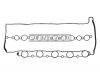 REINZ 71-39301-00 Прокладка клапанной крышки Volvo S60/S80/V70 2.4D D5244T/T2 01&gt;