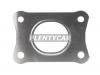 REINZ 71-42802-00 Прокладка коллектора VAG: 1.2TSi 12-