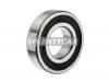 SKF 62062RS1 ДЕТАЛЬ