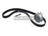 SKF VKMA01113 Комплект ремня ГРМ