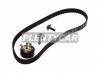 SKF VKMA04226 Комплект ремня ГРМ FORD FOCUS /FIESTA 1.25-1.6 02-