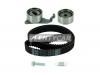 SKF VKMA91003 Комплект ремня ГРМ