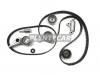 SKF VKMA95976 Ролик натяжителя + ремень ГРМ