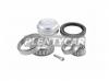 SNR R15156 Комплект ступичного подшипника (R)