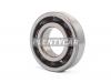 SNR SC05A51CS24PX2 Подшипник 255213 коленвал мопед HONDA, шариковый открытый