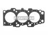 DYG 2231137310M Прокладка ГБЦ  HYUNDAI SANTA FE 00-/SONATA 01-/KIA SPORTAGE 04- G6BA 2,7 LH металл