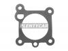 DYG 3510123510 Прокладка HYUNDAI Sonata 5 заслонки дроссельной DYG