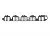 DYG 6651410280 Прокладка впускного коллектора  SSANGYONG REXTON 01-/KYRON 05- D27DT 2,7