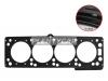 DYG 93303938M Прокладка ГБЦ (металл) Chevrolet Captiva 06-11 Z24SED/LD9