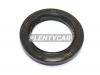 POS 101354001 Сальник распредвала/коленвала FR/RR GM AVEO T200/250/MATIZ/SPARK