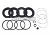 AUTOFREN SEINSA D42270 Поршень