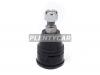 DOOHAP SBJH1 Шаровая опора нижняя FR HONDA ACCORD/TORNEO/AVANCIER/INSPIRE/SABER/ODYSSEY 95- LH=RH