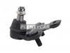 DOOHAP SBJT24 Шаровая опора передняя LEXUS RX270 / 350 / 450H 08- / HIGHLANDER / VENZA #GV1# 07- RH