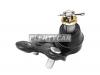 DOOHAP SBJT33 Шаровая опора нижняя FR TOYOTA ALPHARD/CAMRY/ESTIMA/HARRIER/KLUGER/SIENNA/WINDOM/LEXUS ES/RX3#0 01-