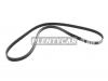 BANDO 4PK1240 Ремень поликлиновый BANDO