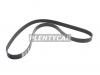 BANDO 7PK1595 Поликлиновой ремень