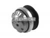 CORTECO 80001901 Подвеска, двигатель