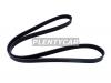 DAYCO 5PK1355 Поликлиновой ремень