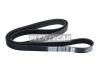 DAYCO 6PK1710 Поликлиновой ремень