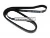 DAYCO 6PK1815 Поликлиновой ремень
