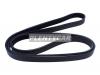 DAYCO 6PK1820 Поликлиновой ремень