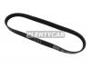 DAYCO 6PK873EE Поликлиновой ремень