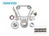 DAYCO KTC1035 Комплект цели привода распредвала