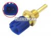 DELPHI TS10248-12B1 Датчик температурный