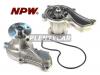 NPW H57 Помпа