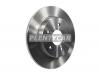 HOSU HSDB0046 Диск тормозной Ford Focus 04-11 / C-MAX 03-10