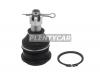 BAIKOR BKBJ0011 Шаровая опора нижнего рычага TOYOTA BB/CARGO/IST/PLATZ/PROBOX/RAUM/VITZ/WILL CYPHA 99-
