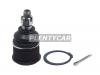 BAIKOR BKBJ0012 Шаровая опора нижняя FR HONDA ACCORD/TORNEO/AVANCIER/INSPIRE/SABER/ODYSSEY 95- LH=RH