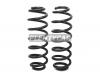 BAIKOR BKCS0023 Пружина подвески (2шт комплект) задняя 4 WD VOLKSWAGEN TIGUAN 07-16