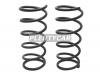 BAIKOR BKCS0050 Пружина подвески (2шт комплект) передняя TOYOTA RAUM 97-03
